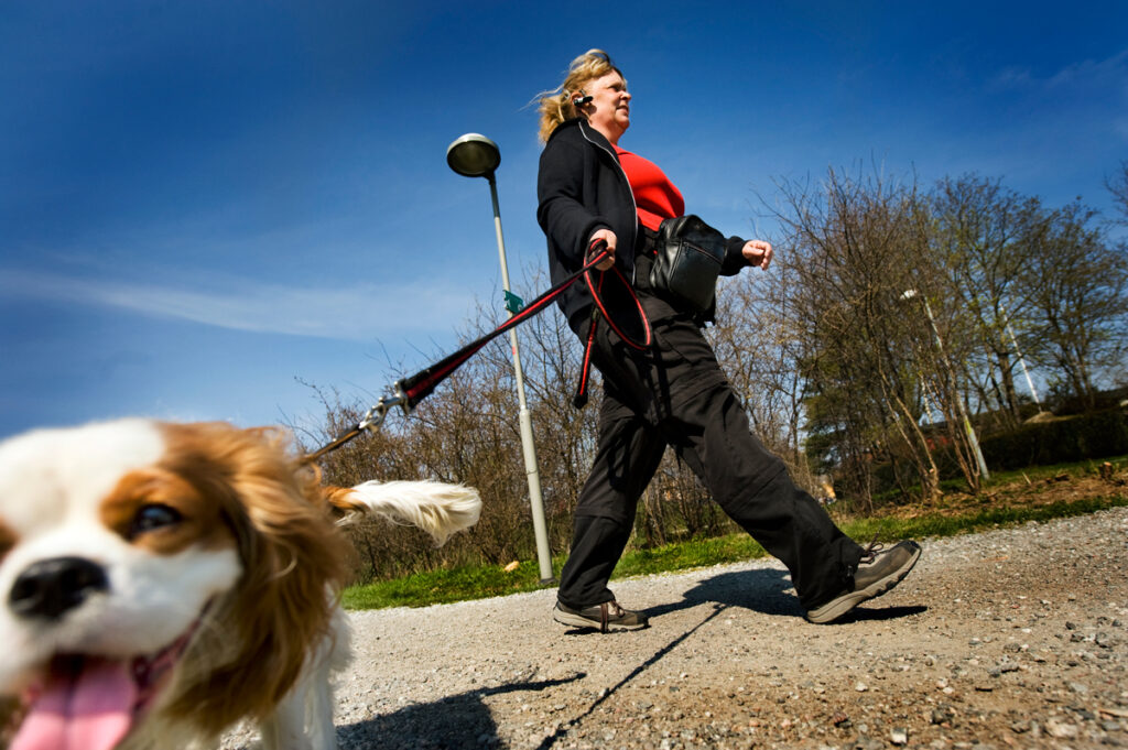 Dogwalking Dagens Nyheter
